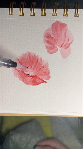 Tiny poppy flowers #watercolor #artprocess