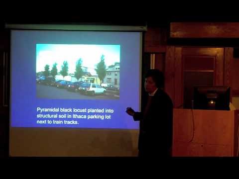 Locating tree roots with ground penetrating radar: a ground truth study