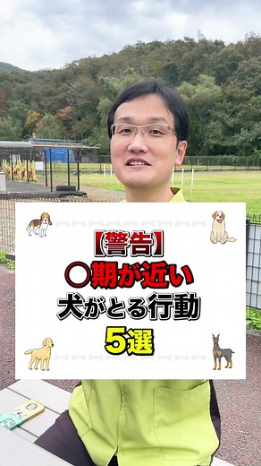 犬の挙動から見る老犬の亡くなる前兆と対処法