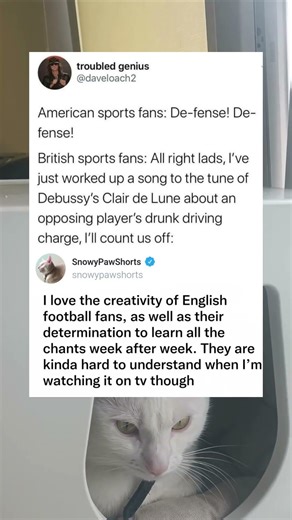 American vs British Sports Fan Culture Differences