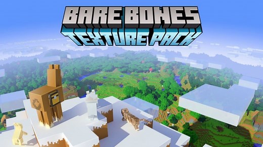 Bare Bones Texture Pack Para Minecraft 1.21.9, 1.20.6, 1.19.2, 1.18.2, 1.17.1, 1.16.2, 1.15.2, 1.14.4, 1.13.2, 1.12.2, 1.11.2, 1.10.2, 1.8.9 - ZonaCraft