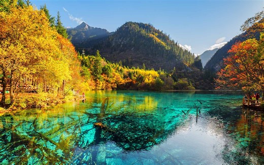 升级 Intel CPU 微码