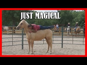 Native American Style of Horse Taming