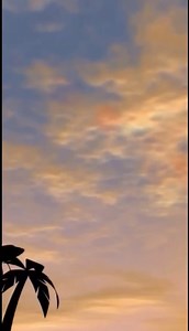 4.3M views · 328K reactions | Flight attendant Telma | Telma | Facebook