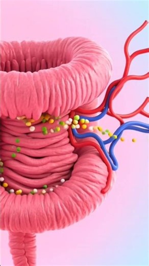 Ye Process Jaankar Aap Hairan Ho Jaoge 😲 | Human Digestion System | Science in Hindi