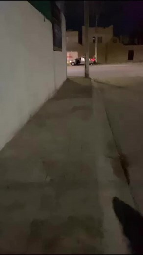 Se activa el código rojo en Sol de Oriente vecinos, reportan que andan varios vehículos diferentes secuestrando jóvenes por la noche. | Codigo Rojo Laguna