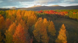 A Year Above Finland: Nature’s Shifting Colors...