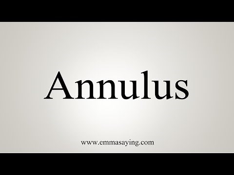 How To Say Annulus