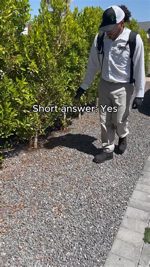 In the Pacific Northwest, rain is the norm, and pest control still works. 🌲🌧️ Professional treatments are designed to handle wet conditions and target pest harborage areas where rain can’t wash them away. In fact, bad weather often drives pests inside, making consistent service even more important. Pointe Pest Control keeps your home protected year-round, rain or shine. 📞 Schedule your service today | Pointe - Pest Control -