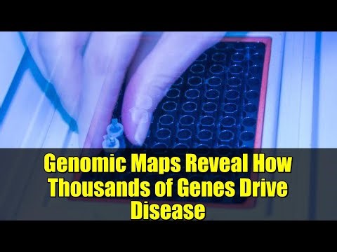 Genomic Maps Reveal How Thousands of Genes Drive Disease | What This Means for Immunology
