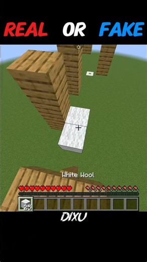 Real or Fake🔥💀 || #minecraft #shorts