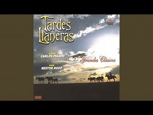 Alma Llanera Instrumental