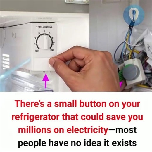 Save a ton of money on electricity 👇 | Blogtamsu TV