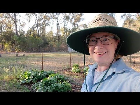 October means beans and turnip greens!