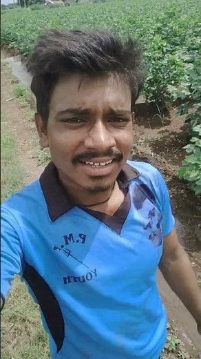 hot dog movie theater they came out of nominee Ricky boya