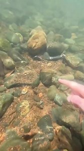 #scubadiving #satisfying #asmr #foryou #asmrsounds ❤️ 💚 ❤️❤️ | Carter-69