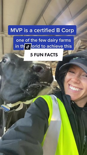 5 Fun Facts About Dairy Cows on our Family-Owned Farm in Ohio