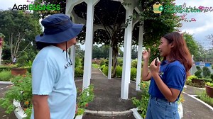 74K views · 3.5K reactions | EDIBLE LANDSCAPING HOW TO: DESIGN, IMPLEMENTATION, MAINTENANCE | Agribusiness | Facebook