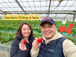 Strawberry Picking in Japan | Strawberry Season #StrawberryPicking #JapanStrawberries #StrawberrySeason #FruitPickingJapan #JapaneseStrawberries #StrawberryFarm #FreshStrawberries #JapanTravel #SeasonalFruits #StrawberryLovers | Team Giron Vlogs