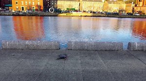 The 8 Best Drones For IPhone & IPad 2025 [UPDATED] - DroneGuru