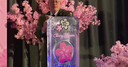 When is the Cherry Blossom Festival, peak bloom in DC? Here’s what to know for 2026