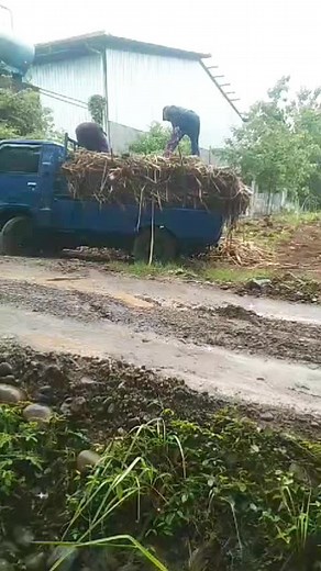 sugar gallery on TikTok