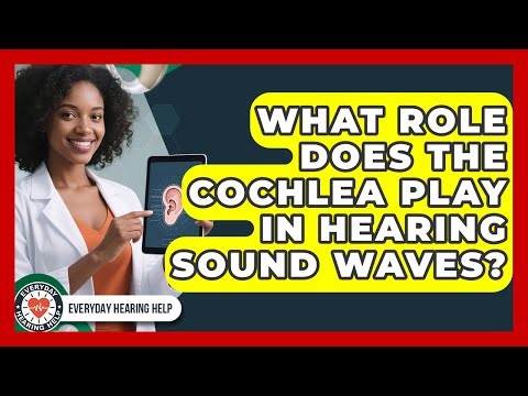 What Role Does The Cochlea Play In Hearing Sound Waves? - Everyday Hearing Help