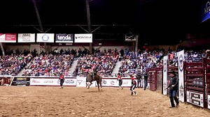 Get ready, Freestyle Reining and PBR tickets go on sale in just 5 days! Ticket sales open 𝗪𝗲𝗱𝗻𝗲𝘀𝗱𝗮𝘆, 𝗝𝘂𝗹𝘆 𝟱 𝗮𝘁 𝟵𝗔𝗠 𝗘𝗗𝗧. Congress Freestyle Reining is presented by dac® Congress PBR is presented by Western Edge 𝗡𝗘𝗪 𝗙𝗢𝗥 𝟮𝟬𝟮𝟯: Limited Edition Congress Merchandise can be purchased when you buy your tickets! Links to purchase tickets and merch can be found here: www.quarterhorsecongress.com/congress-ticketed-events | All American Quarter Horse Congress