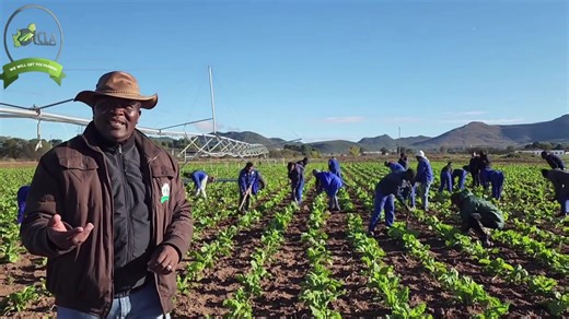 Be like an eagle and fly high with DICLA Training and Projects To get farming with us simply contact us on 045 838 1904 or WhatsApp us on 072 538 9988. This is DICLA Training and Projects and we will get you farming. | DICLA Training and Projects