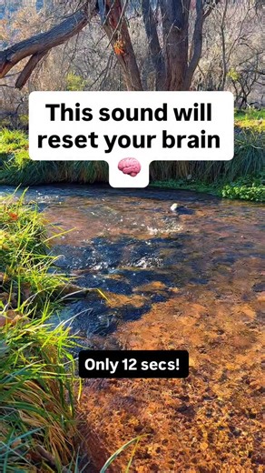 Banah Winn on Instagram: "🌀 This sound will reset your brain. Most “healing music” online feels nice… but the real frequencies are buried under layers of sound — so your body never actually receives the benefit. These tones are different. They’re built using the Golden Ratio (1.618…) — the same mathematical pattern found in seashells, galaxies, flowers, pinecones, and even your DNA. It’s nature’s blueprint for harmony turned into sound. When you listen, something shifts: 🧠 Your thoughts slow d