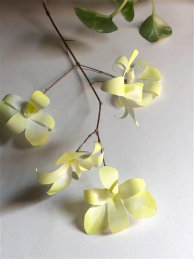 DIY Orchid flowers💐 #diy #orchids#flowers #shorts #craft