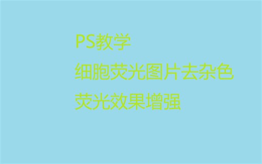 【细胞实验】PS教学，去除细胞荧光照片背景杂色，提高细胞荧光强度（细胞核、细胞骨架）