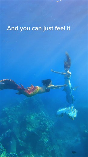 Meeting Your People | The Mindful Mermaid