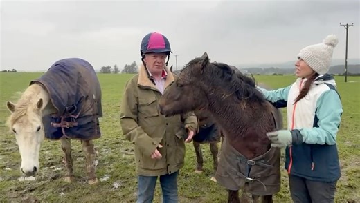 🐎 BA AUCTION MARTS – FIRST EVER EQUESTRIAN LIVE AUCTION 🐎 We’re excited to announce our FIRST EVER EQUESTRIAN LIVE AUCTION, and we’re now inviting sellers to enter goods for this brand-new specialist sale. If it’s horse-related, yard-related, or equestrian kit — we want it 👇 🧲 Items We’re Looking For: All tack & equipment, including: • Saddles, saddle racks, stirrups • Bridles, bits, reins, brow bands • Girths, numnahs, saddle pads • Head collars, lead ropes • Boots, brush boots, exercise sh