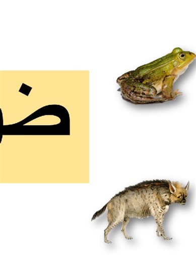 تعليم الحروف العربية للأطفال بشكل ممتع