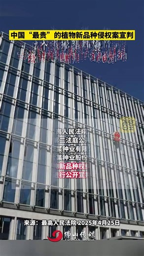 中国“最贵”的植物新品种侵权案宣判。7个玉米品种侵权，一公司被判赔超5300万元！（编辑：曾凝霜；责编：黎顺安；素材来源：最高人民法院）社会百态 三农 玉米
