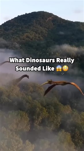 ⏰ 𝗙𝗼𝗹𝗹𝗼𝘄 𝘁𝗼 𝗴𝗼 𝗯𝗮𝗰𝗸 𝗶𝗻 𝘁𝗶𝗺𝗲 on Instagram: "What dinosaurs really sounded like Dinosaurs likely did not roar like in movies; instead, they probably made sounds similar to modern birds and reptiles, such as coos, rumbles, and honks. The sounds varied by species, with some using their hollow crests to make booming noises, while others made low-frequency vibrations that might have been felt more than heard. Rumbles, coos, and booms: Many dinosaurs, particularly large ones, likely