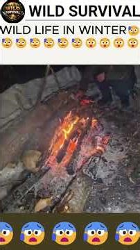 WILD SURVIVE IN SNOW FOREST 🌲🔥