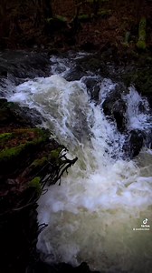 72K views · 11K reactions | The water moves slow through Southern Oregon  | Andrew Martin Photography | Facebook