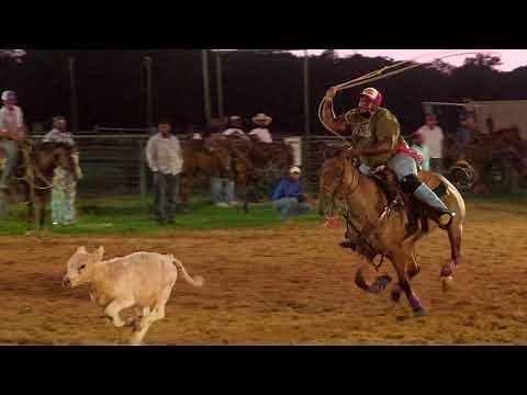 Tie Down Calf Roping at Rocking M Ropings (Bryan, TX)