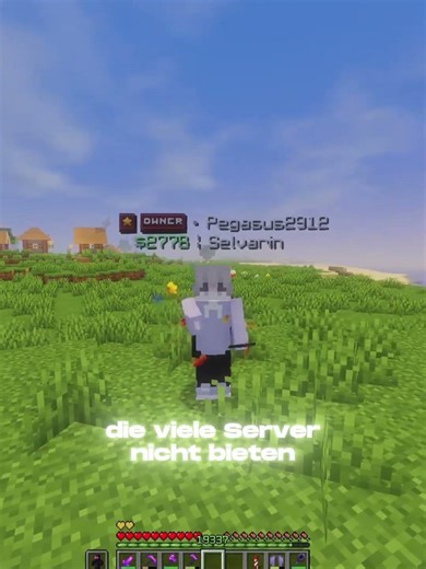 IP: Statelight.de (1.21.4+) | #minecraft #smp #minecraftsmp #minecraftserver #server