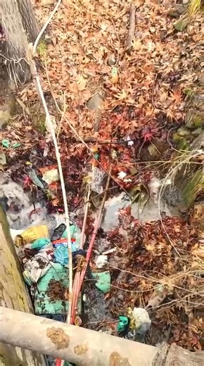 As we all know that water is a blessing for us by almighty allah so We should take care of this blessing as much as we can do, we shouldn't throw trash, garbages into any water system so it's a request for all those are watching this video to share it so that people will see the value of this blessing and get aware towards it #krangsoodevelopmentmission #municipalcouncilanantnag #LikeFollowShare 🙏🙏🙏 | Sartaj Ahmad Khandey
