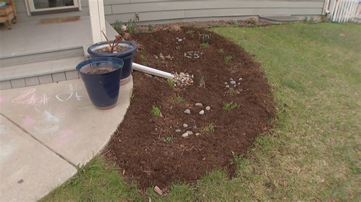 Drought conditions force a rethink for spring landscaping