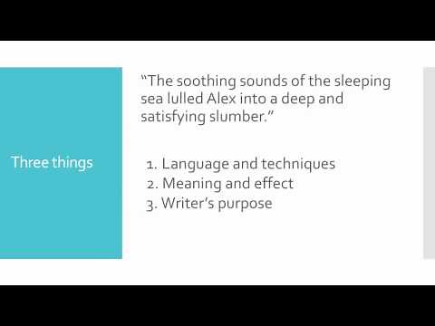 IB English Analysis EXAMPLE | Literary Techniques, Authorial Intent, Effect