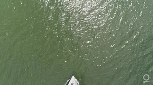 When you need sails that are on the same level as the most beautiful boats you’ve ever built, without compromising customer focus, great local service and attention to detail. | Quantum Sails