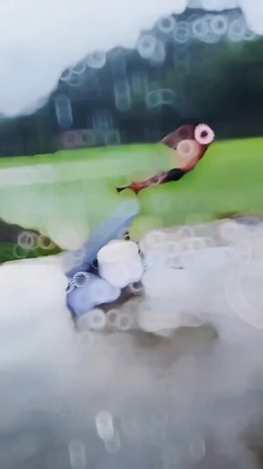 662K views · 13K reactions | There's always new laundry techniques to learn! #comedy #pro #stitch #creator #research #skits #researcher #funny #viral #joke | Single Mom Saga | Facebook