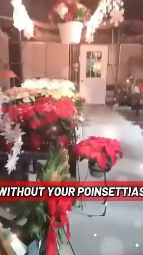 Here it is, what you all have been waiting for....Nokomis Gift and Garden Open house Friday the 21st 8:30-7 and Saturday the 22nd 8:30-2 with grand opening ribbon cutting 10 am Saturday! | Nokomis Gift & Garden Shop & Greenhouses