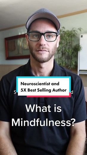 What is mindfulness? 🧐 Neuroscientist and 5X New York Times Best Selling Author Sam Harris breaks it down. Mindfulness helps us gain Concentration, Senory Clarity and Equanimity in everyday life. Mindfulness Meditation is one of the oldest practice in the world. Mindfulness is based on Vipassa - which roughly means insight into the quality of your mind 💯 #mindfulness #meditation #samharris