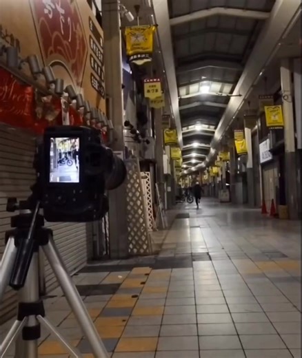 免費迷因 | Free Memes | BGM: AWOLNATION - Run (What So Not x QUIX Remix) | Facebook