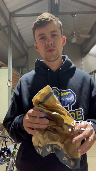 How to remove Paper Wasps! #wasptrap #waspremoval #paperwasp #yellowjacket #beehive #waspnest #tipsandtricks #wasp #farmlife